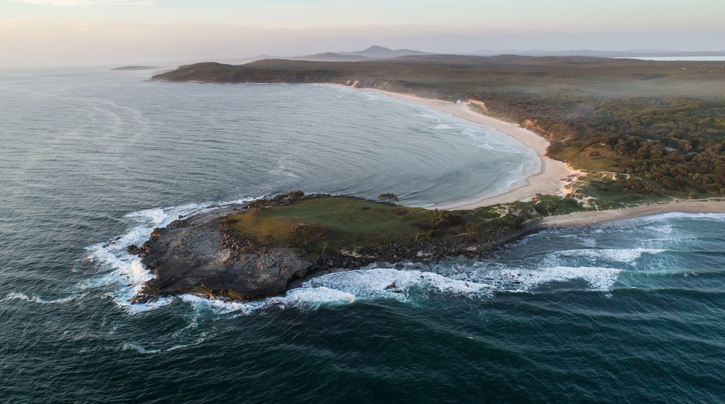 dawn, coastline, Angourie Point
