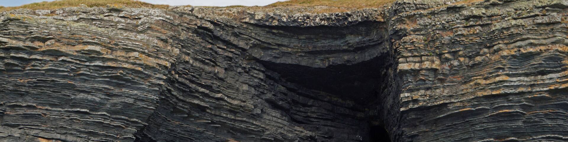 coast - Dolphin tour, Carrigaholt, co clare, ireland