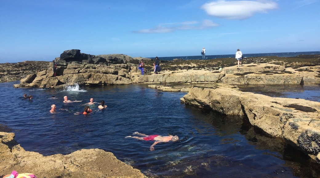 Low tide exposes large pools of clear ocean water with beautiful living sea plants and life. These are known as the pollock pools. Locals swim, snorkel & hang out by them. The water is very cold. Even in the summer.