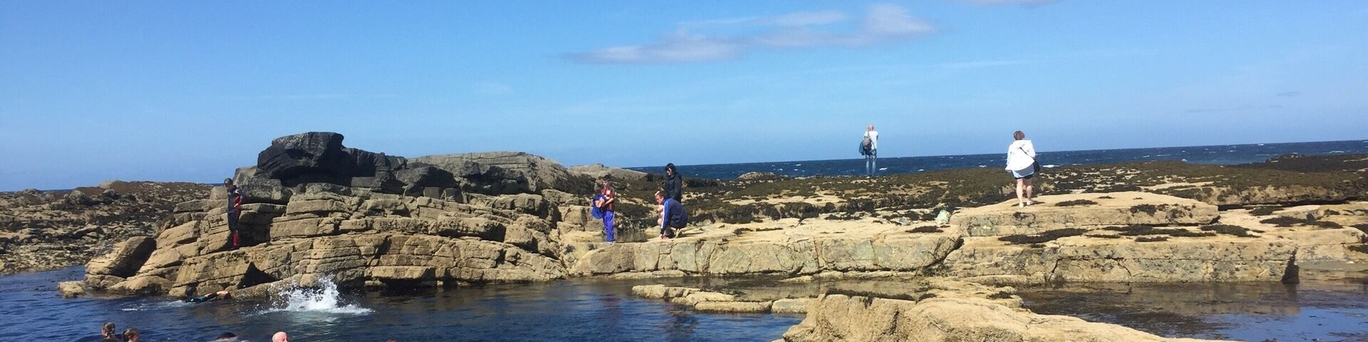 Low tide exposes large pools of clear ocean water with beautiful living sea plants and life. These are known as the pollock pools. Locals swim, snorkel & hang out by them. The water is very cold. Even in the summer.