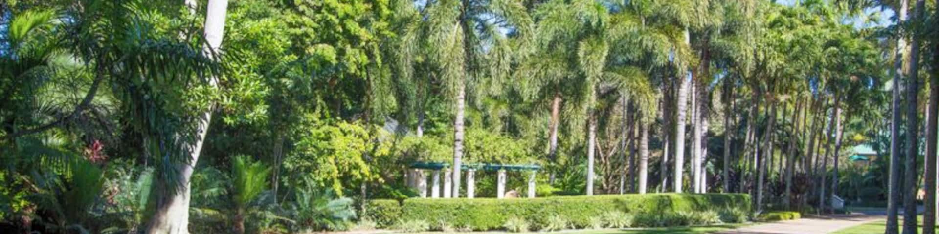 Palmetum Gardens is one of Townsville’s four Botanical Gardens. It’s a 17 hectare botanic garden displaying one of the largest and most diverse public collections of palms in the world – 300 species of palm, many rare and threatened, and includes most Australian palms.