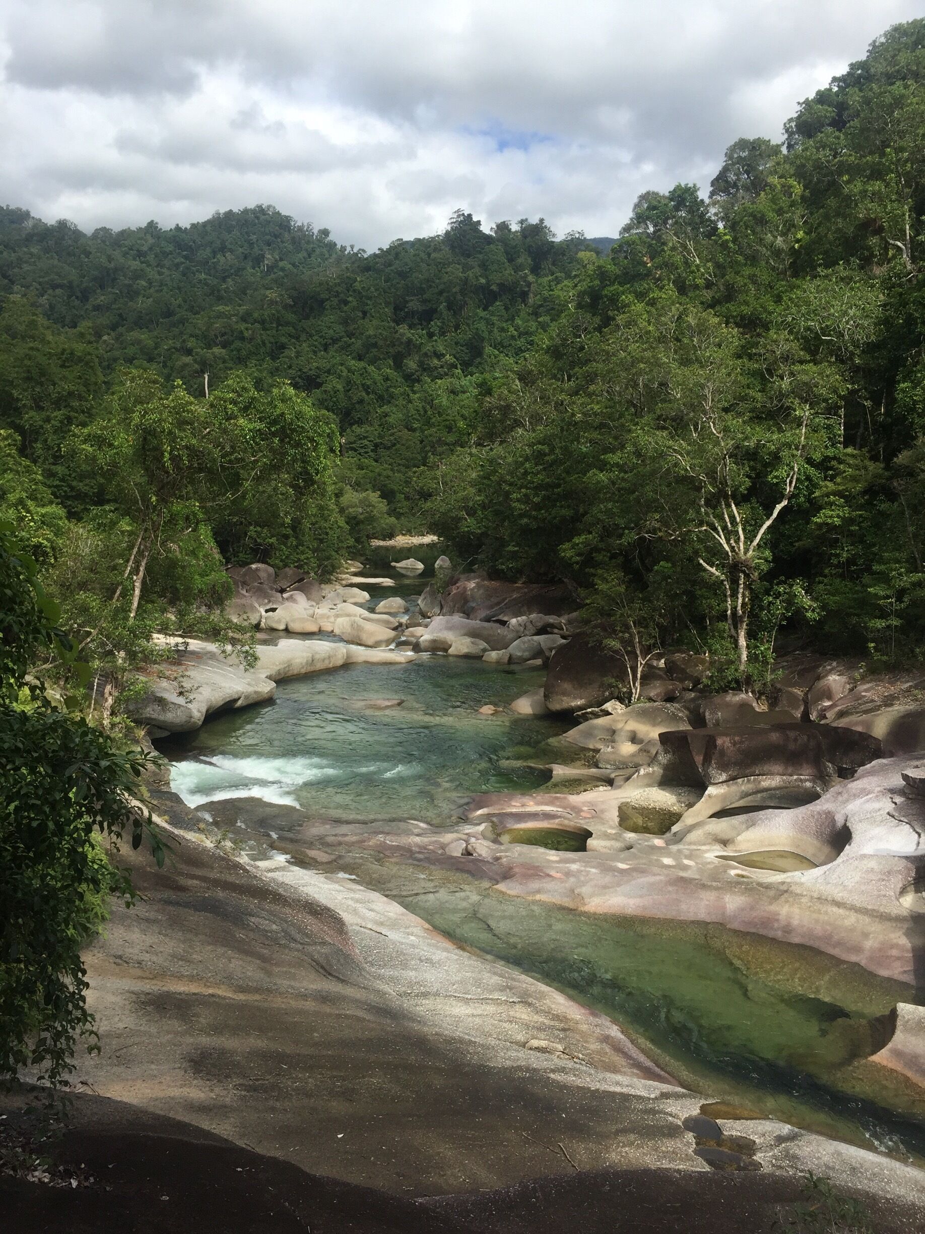 So this is in Babinda part the rainforest surrounding Cairns in North Queensland! 