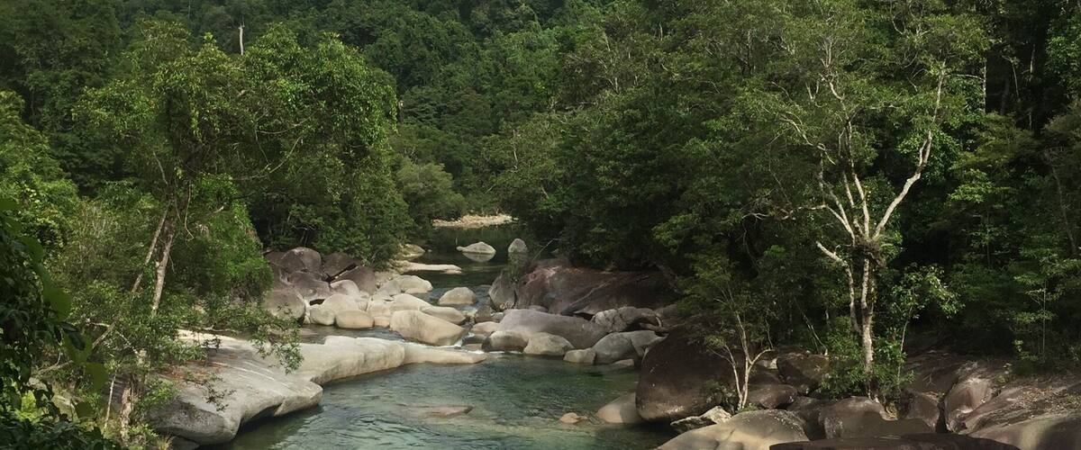 So this is in Babinda part the rainforest surrounding Cairns in North Queensland!