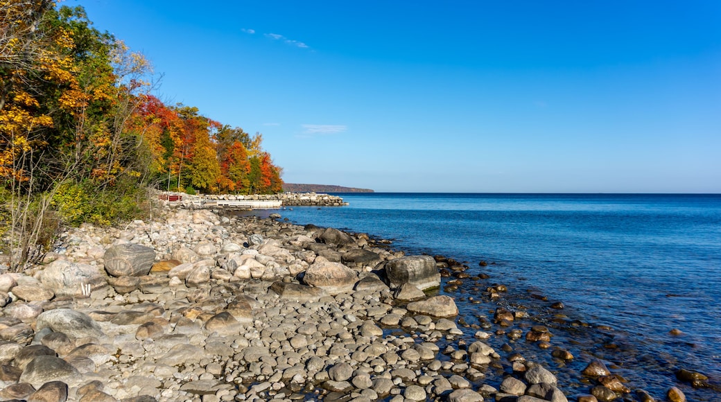 Mark Point Nature park in Georgina lake, Ontario, Canada as seen in October 2024.