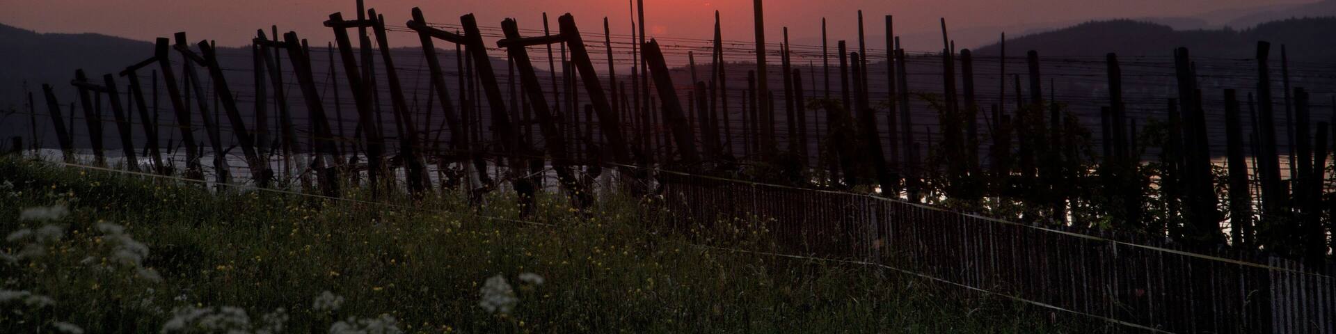 Sonnenuntergang Salenstein