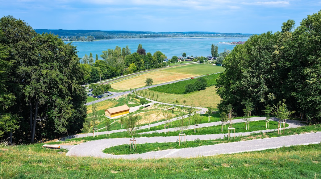 View of Lake Constance from Arenenberg in Salenstein, Switzerland