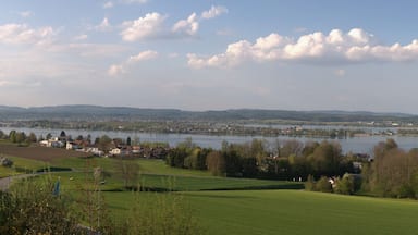Switzerland, Thurgau, View of Reichenau peninsula from Ermatingen