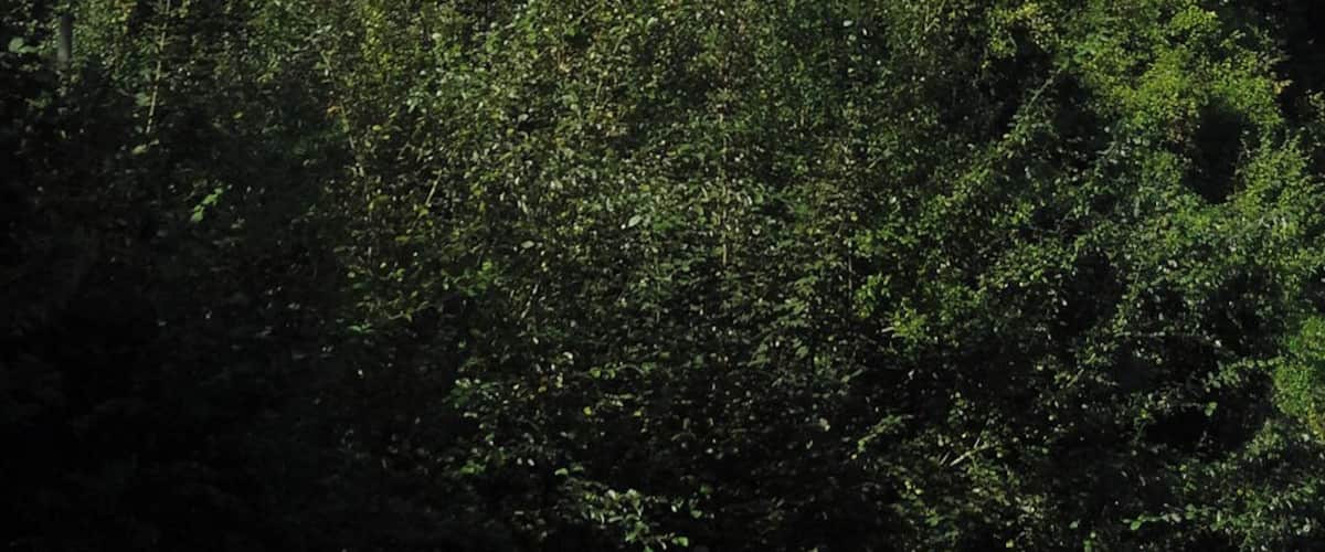 Schloss Salenstein, Switzerland