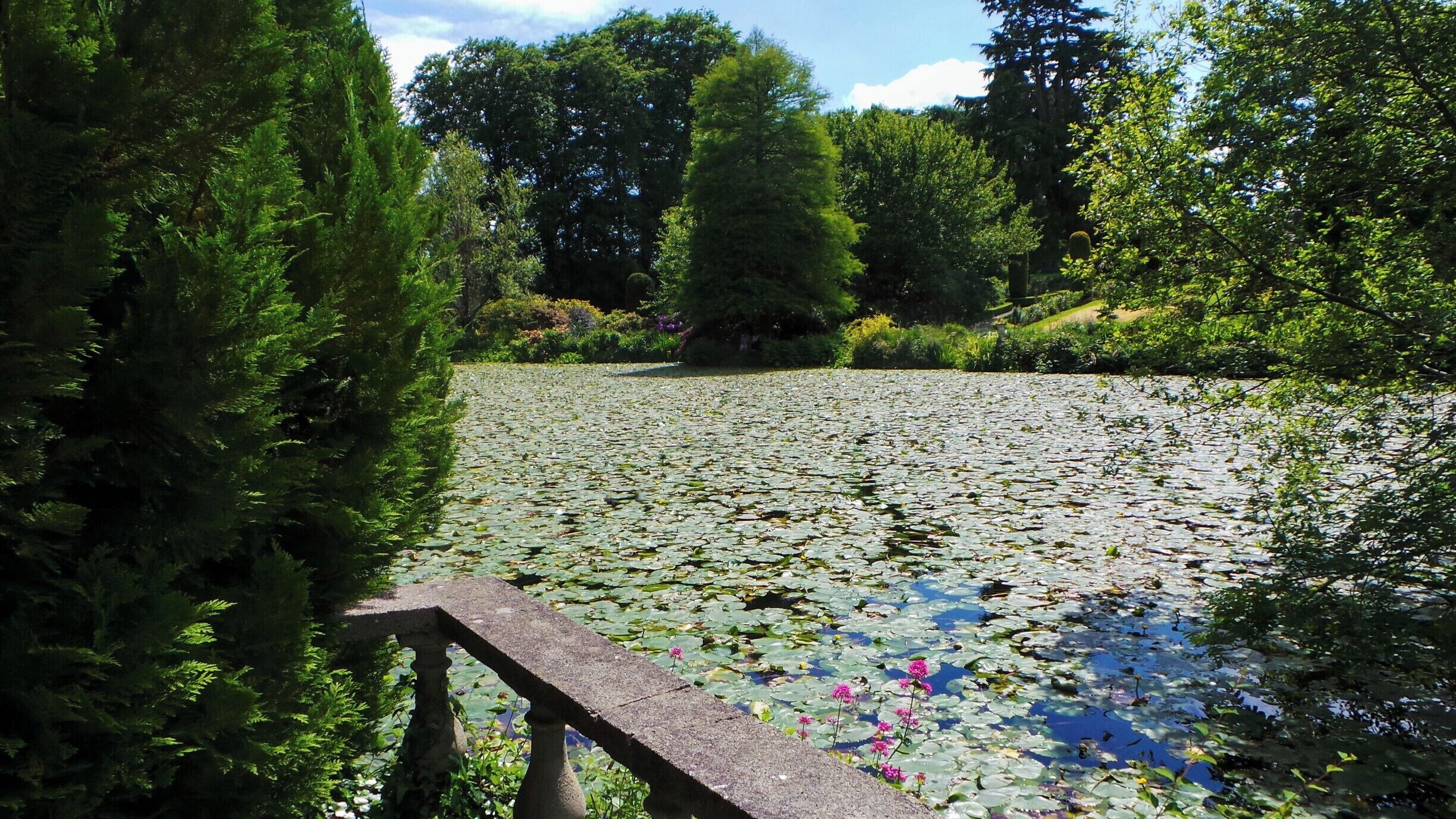 500-year-old oaks, roses and herbaceous plants fill this sprawling, riverside garden with lake.