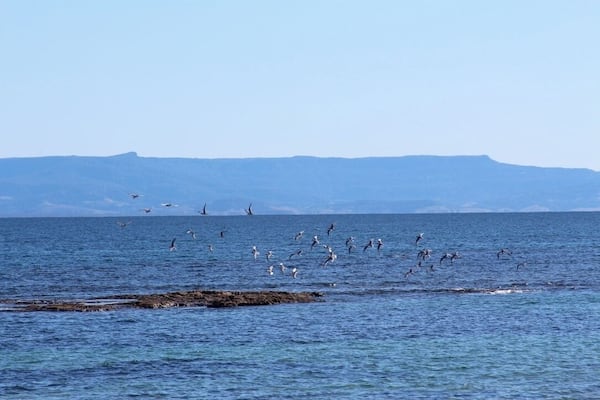 This was one road trip I didn't want to end, took a few wrong turns but somehow always ended up at the beach, and this was one of them. Wrong turns are fun, and beautiful.