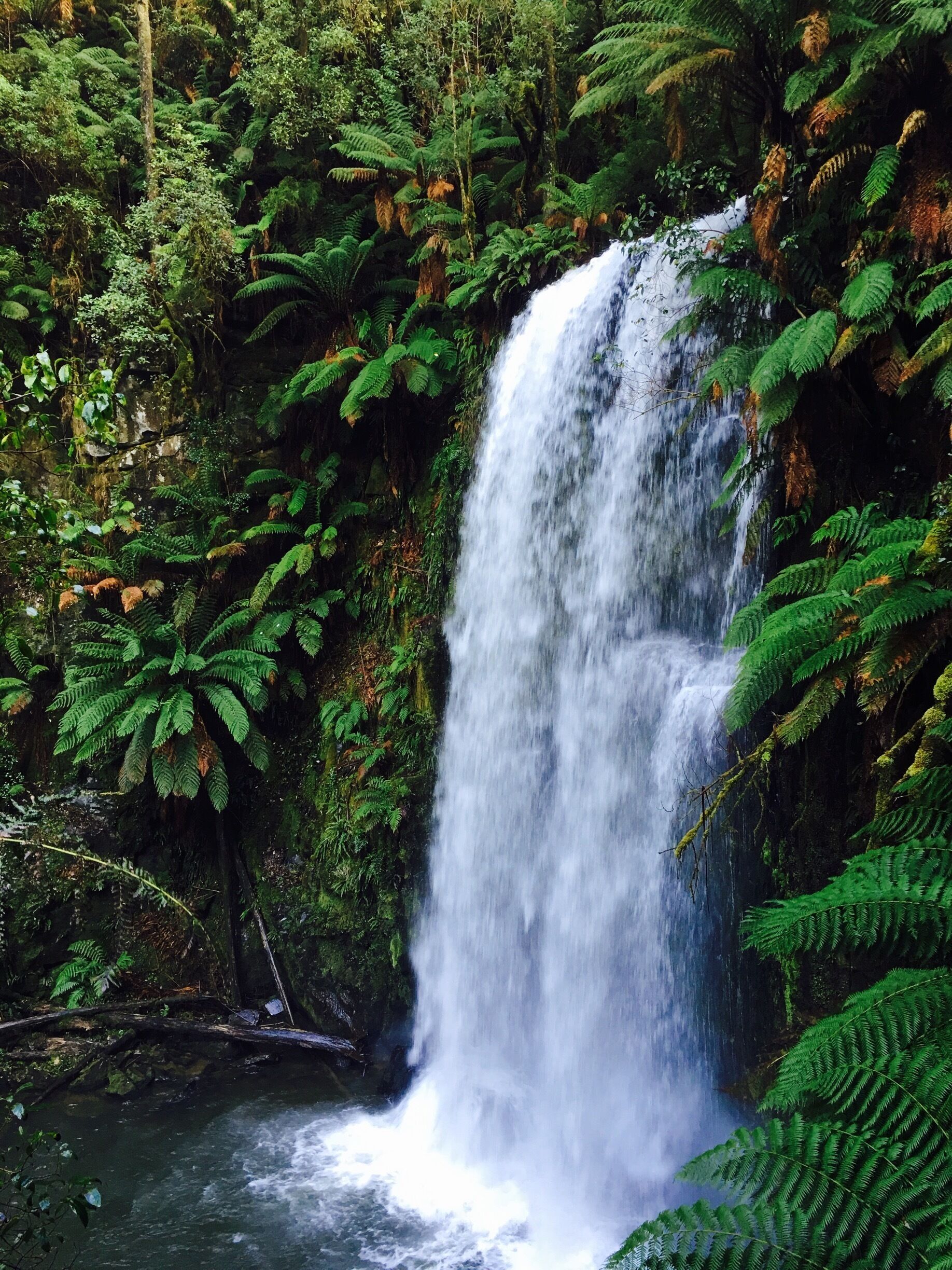 Beautiful waterfall along the Great Ocean Road, Victoria, Australia. 
#waterfall #greatoceanroad 