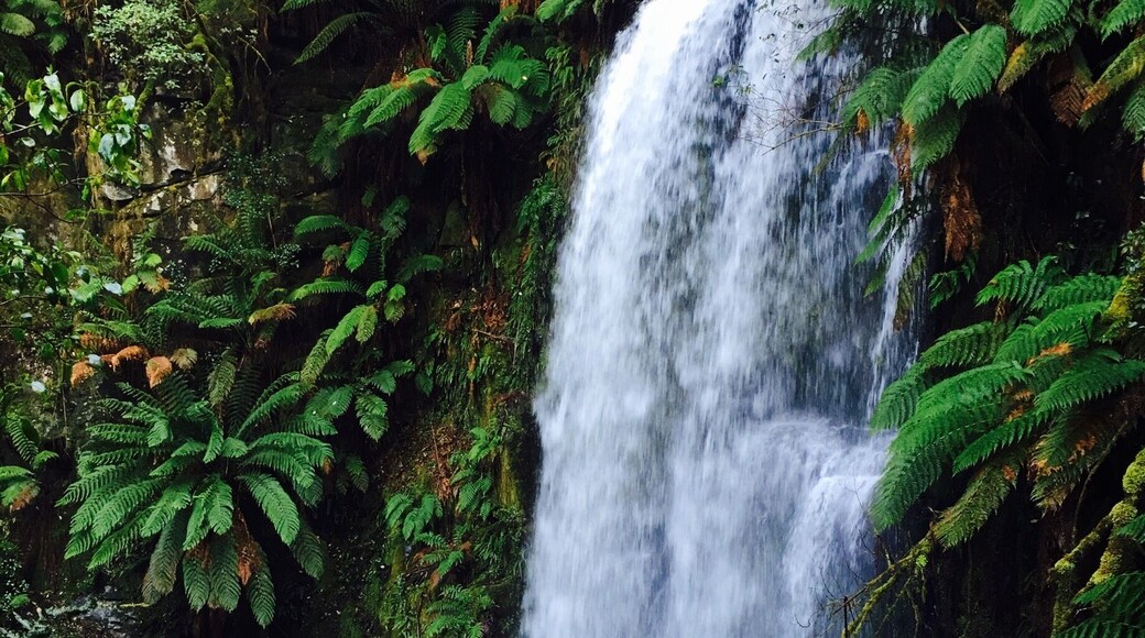 Beautiful waterfall along the Great Ocean Road, Victoria, Australia.
#waterfall #greatoceanroad
