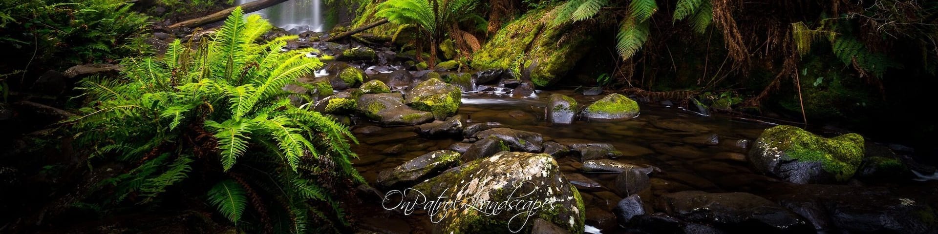A waterfall cascading over rocks in a lush, green forest.