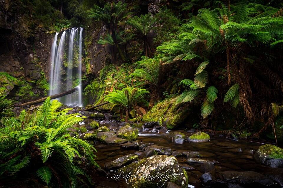 A waterfall cascading over rocks in a lush, green forest.