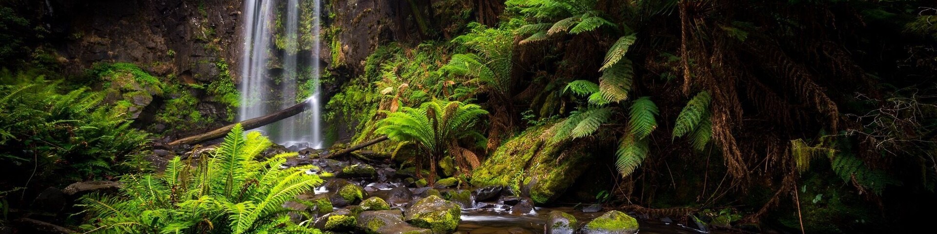 An overcast afternoon provided perfect conditions for the hike to the falls as well as stunning filtered light for the scene. Watch out though, the rocks are so slippery!! I almost went over many times with the camera gear!