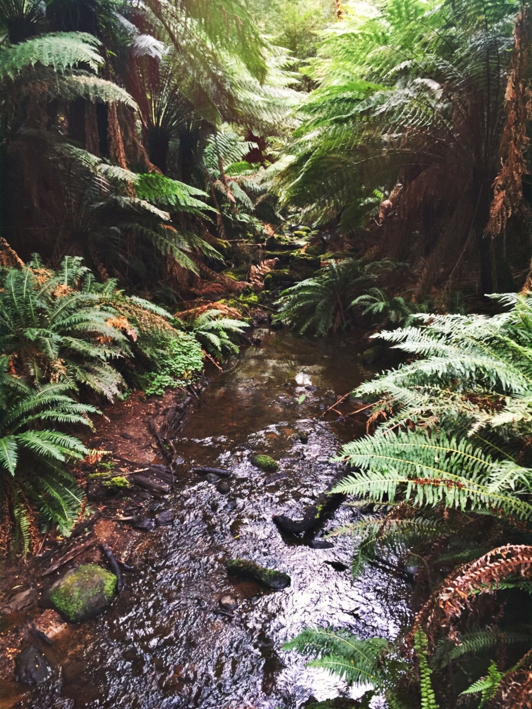 Mother nature doing her thing 