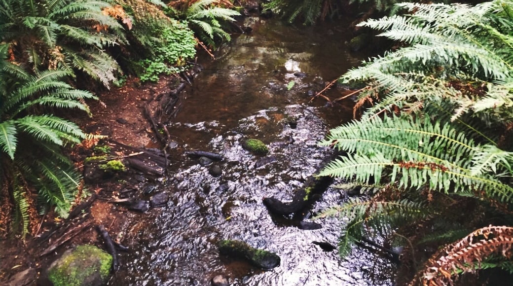 Mother nature doing her thing