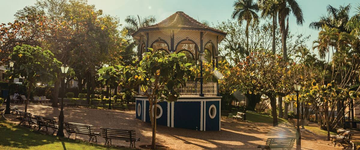 A gazebo in a park with benches and palm trees.