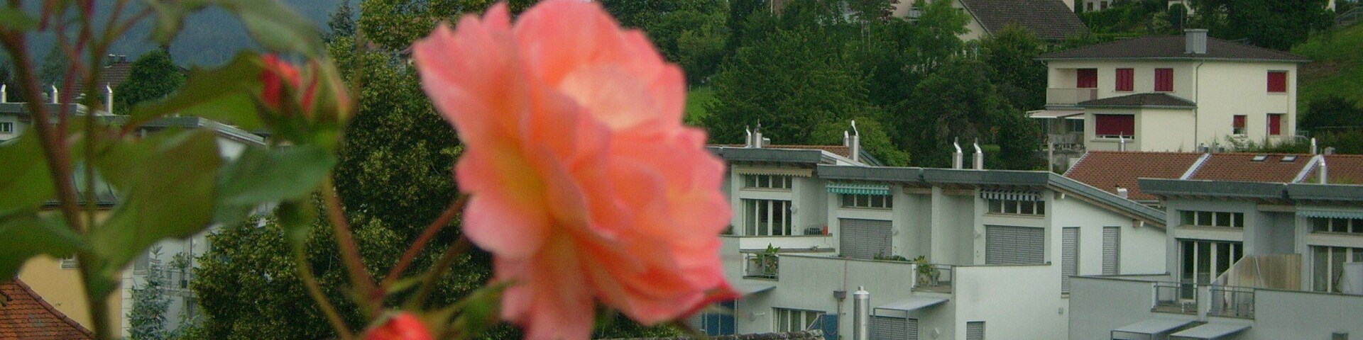 Wittenbach