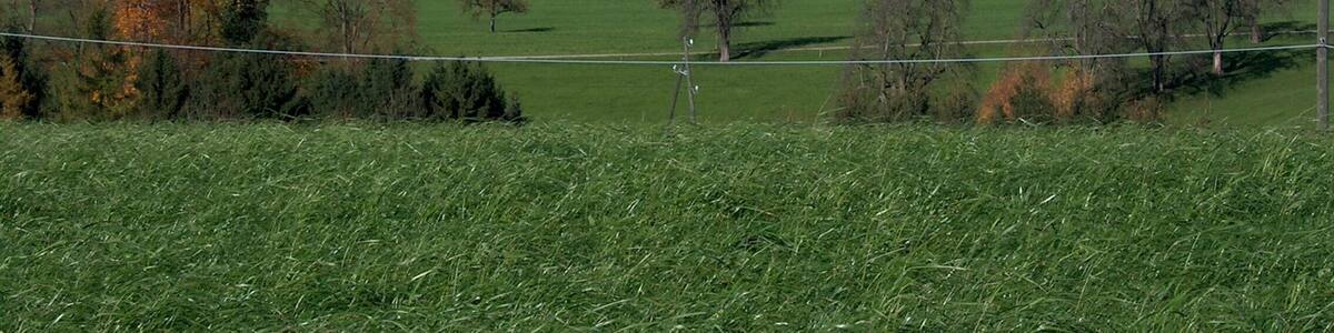 Sicht von Kronbühl auf den Bodensee