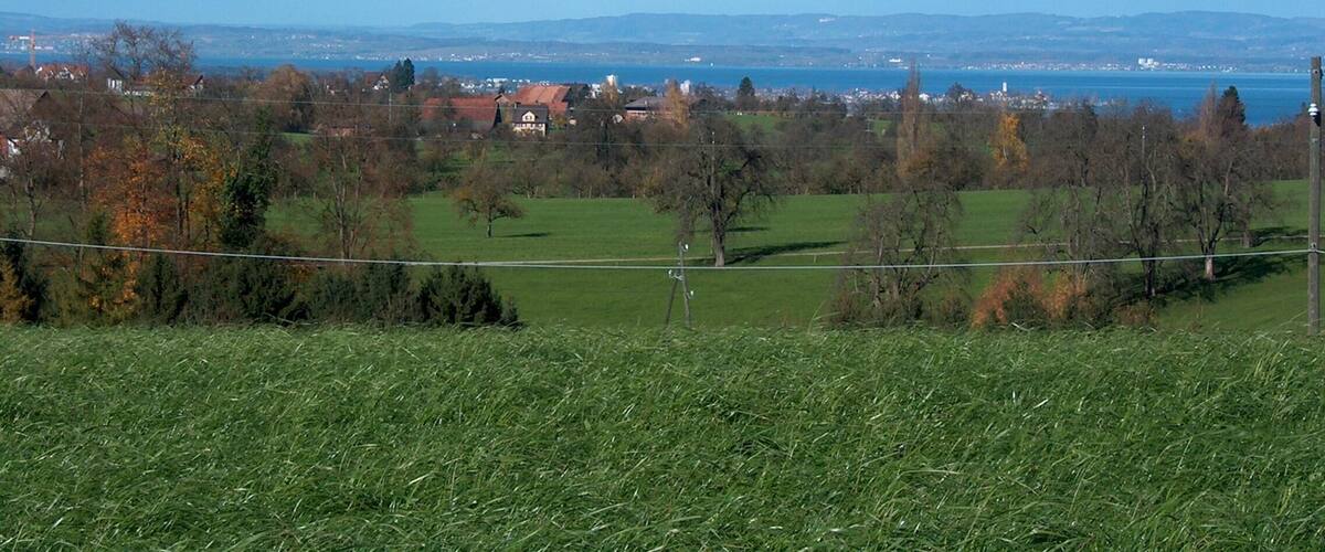Sicht von Kronbühl auf den Bodensee