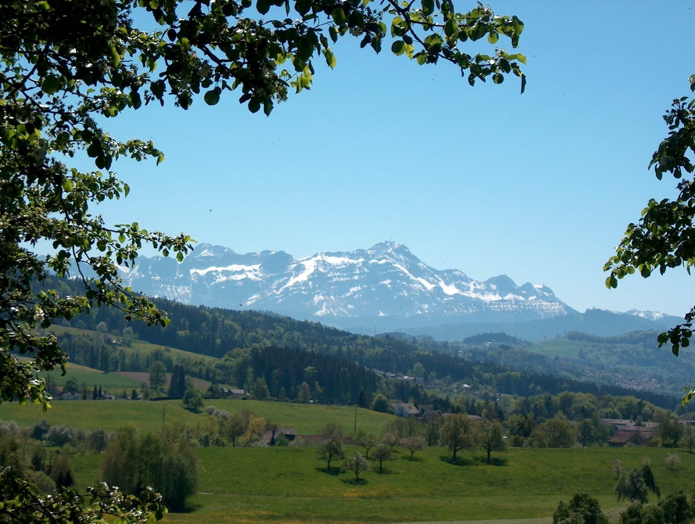 Blick von Dottenwil zum Säntis