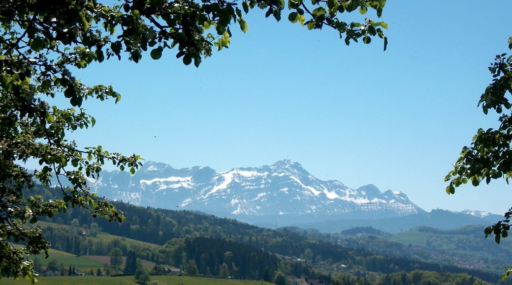 Blick von Dottenwil zum Säntis