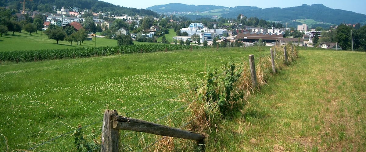 Sicht vom Kappelhof auf Wittenbach