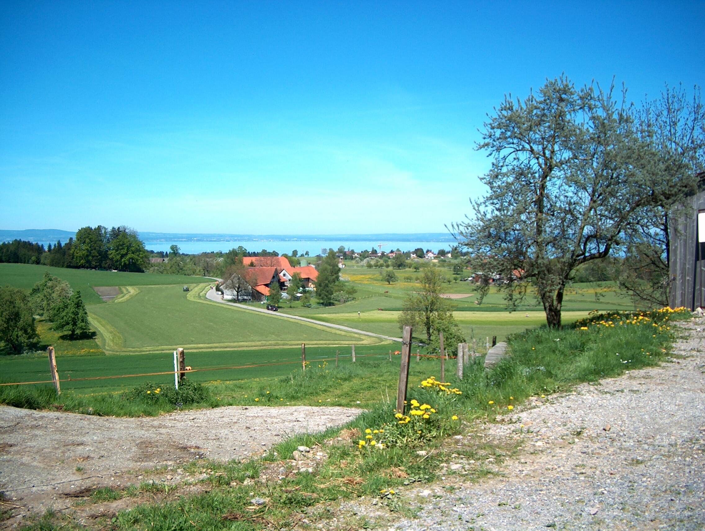 Blick von Dottenwil zum Bodensee