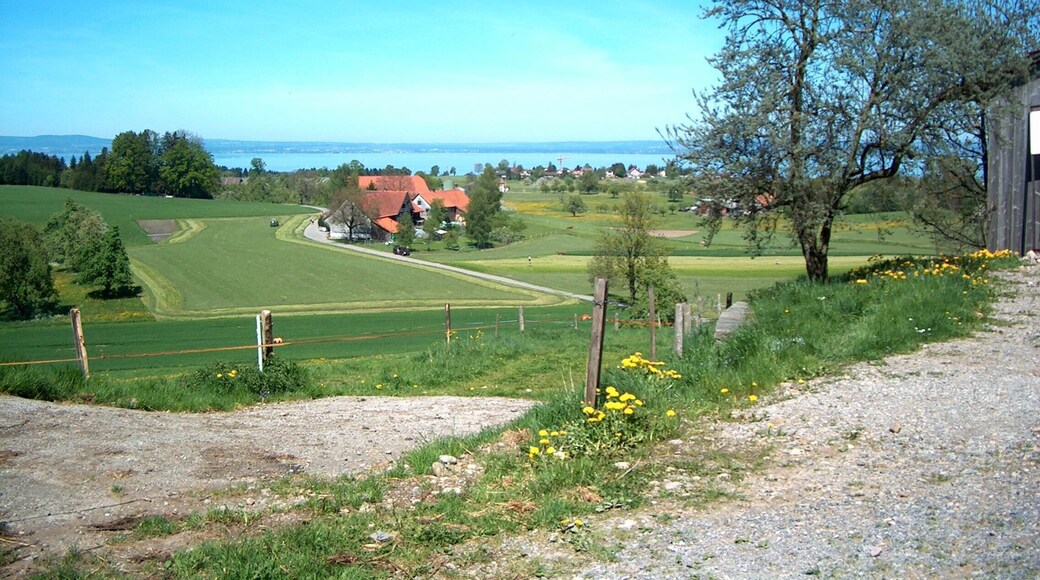 Blick von Dottenwil zum Bodensee