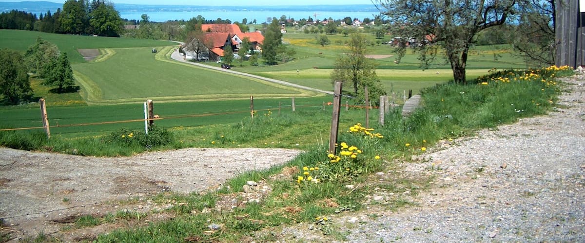 Blick von Dottenwil zum Bodensee