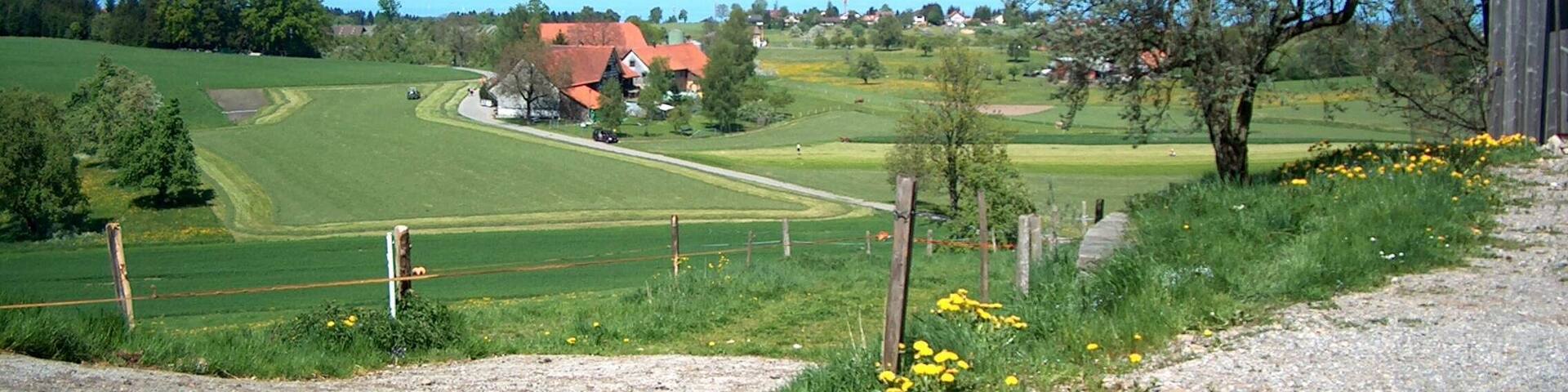 A rural landscape with a house, green fields, a tree, and a body of water in the distance.