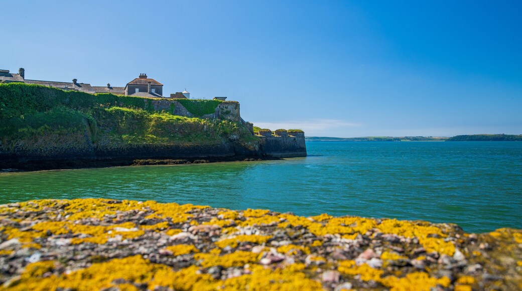 Duncannon showing general coastal views