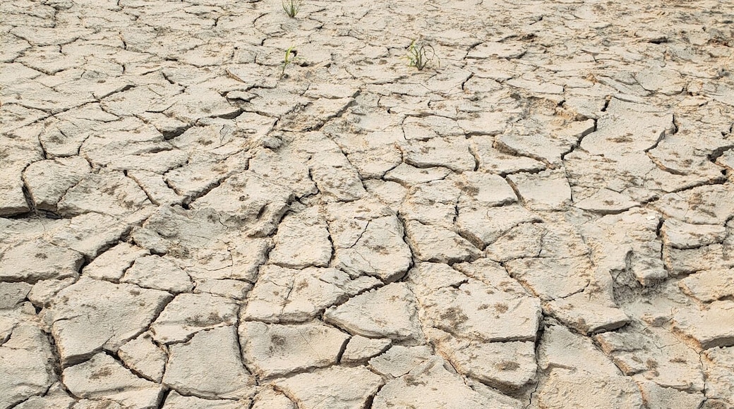dried river bed in the Amazon #trovember