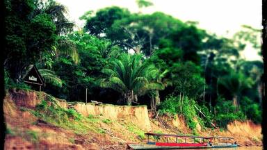A river with a small boat docked on the bank, surrounded by lush greenery and palm trees.
