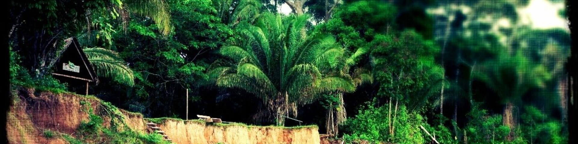 We docked here on the Madre de Dios River in Peru for an excursion to Lake Sandoval and the Tambopata Reserve.