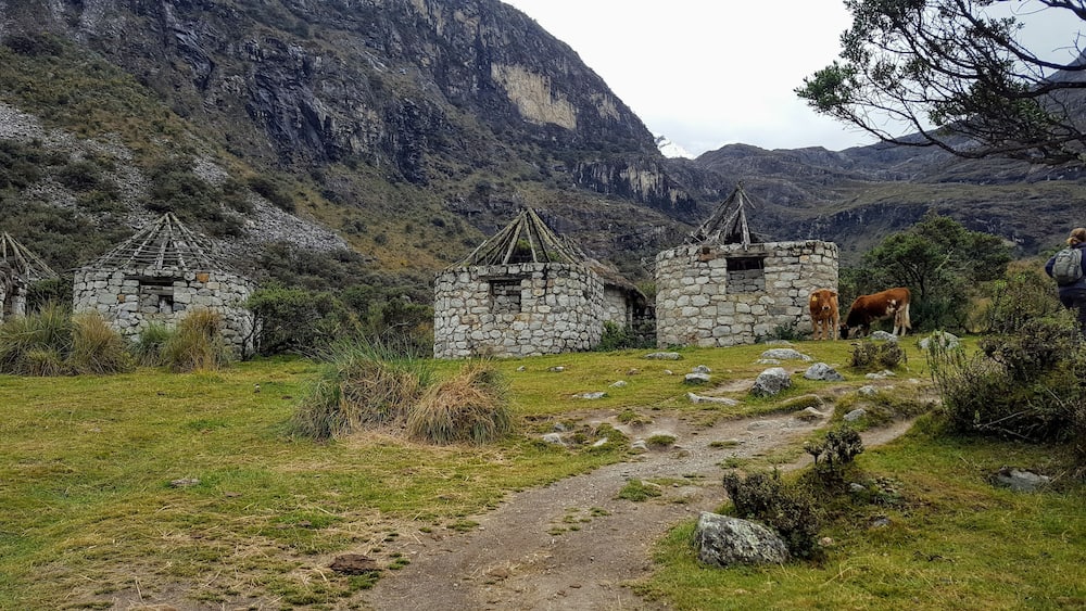 A rural landscape with stone houses and a cow grazing.