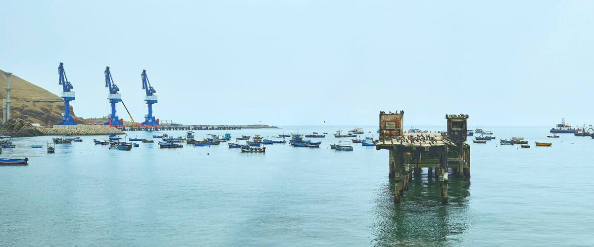 A harbor with numerous boats, a pier with cranes, and a large tower.