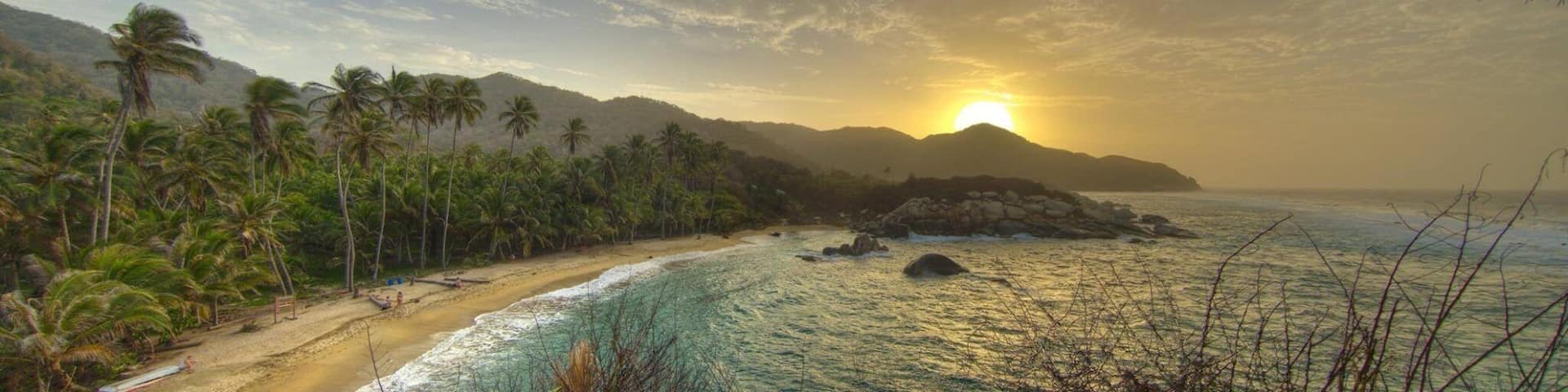 A beach with palm trees, a rocky outcrop, and the ocean.
