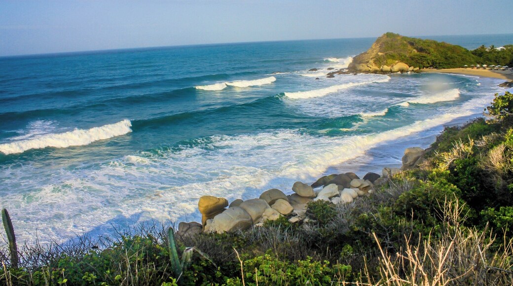 When you finally manage to get out of the jungle having this view is something you'd never expect... Just so amazing
Tayrona #NationalPark #Hiking #Blue