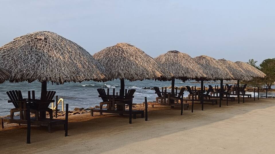 A beach with thatched umbrellas and wooden chairs.