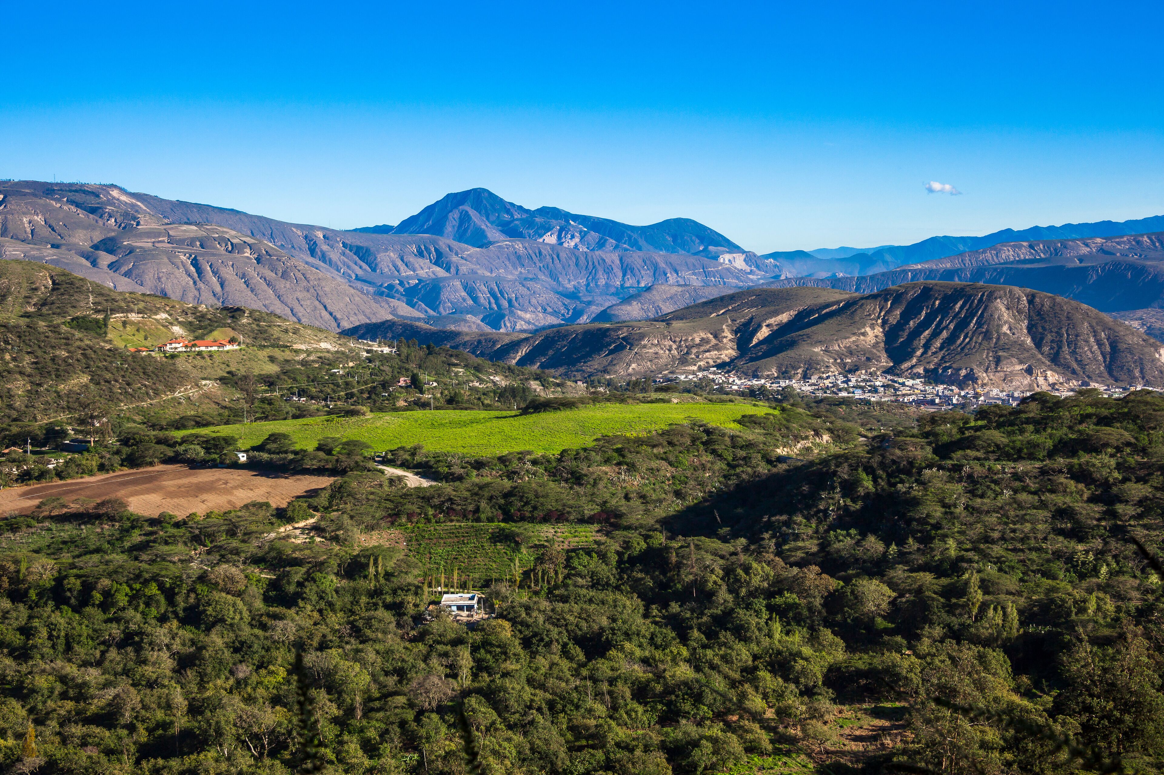 Guayllabamba Valley early hours of the morning