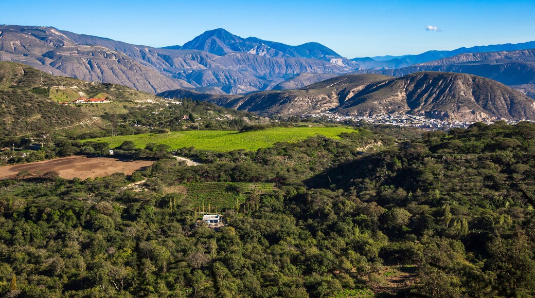 Guayllabamba Valley early hours of the morning