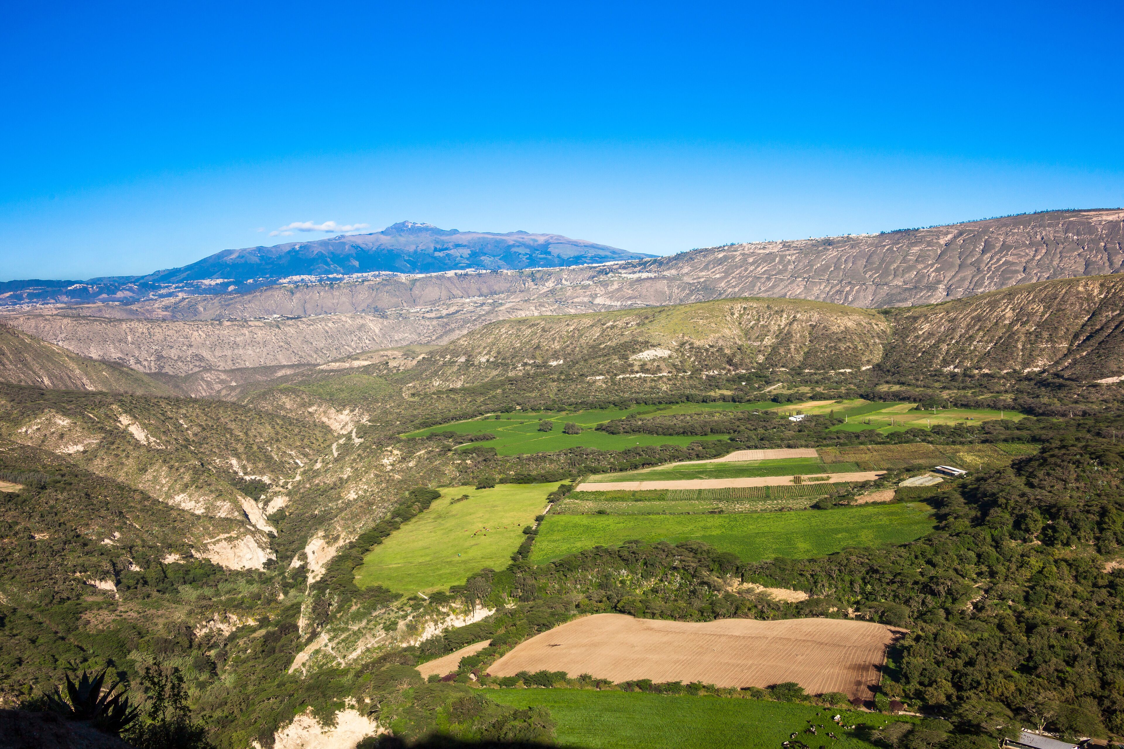 Guayllabamba Valley early hours of the morning