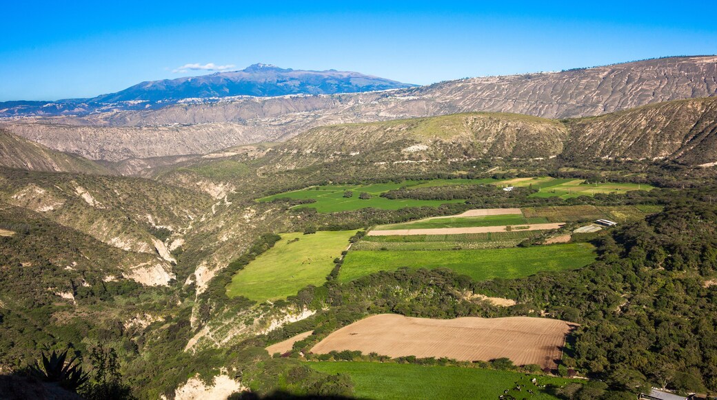 Guayllabamba Valley early hours of the morning