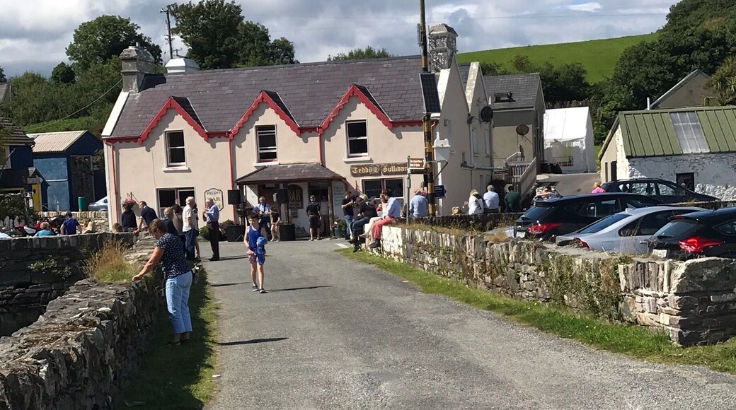 Great pub, local mussels