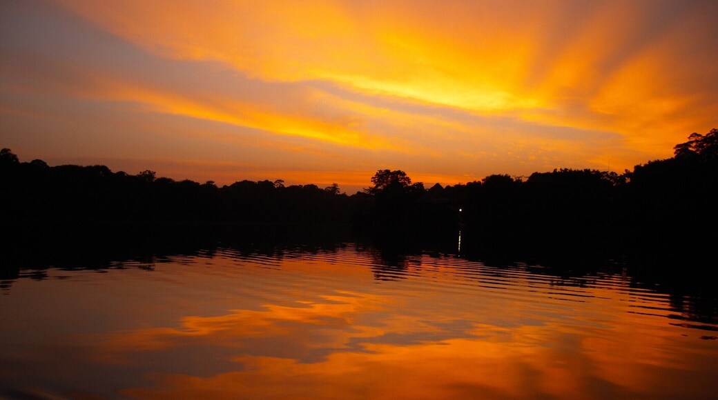 La Selva Jungle Lodge. One of the most intense sunsets I have ever seen in person. It was so quiet. All you could hear were the natural sounds of the rainforest.