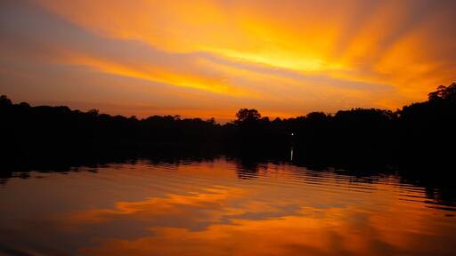 La Selva Jungle Lodge. One of the most intense sunsets I have ever seen in person. It was so quiet. All you could hear were the natural sounds of the rainforest.