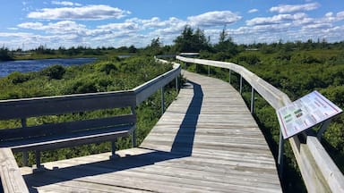 Beautiful and informative walk over the peat bog.