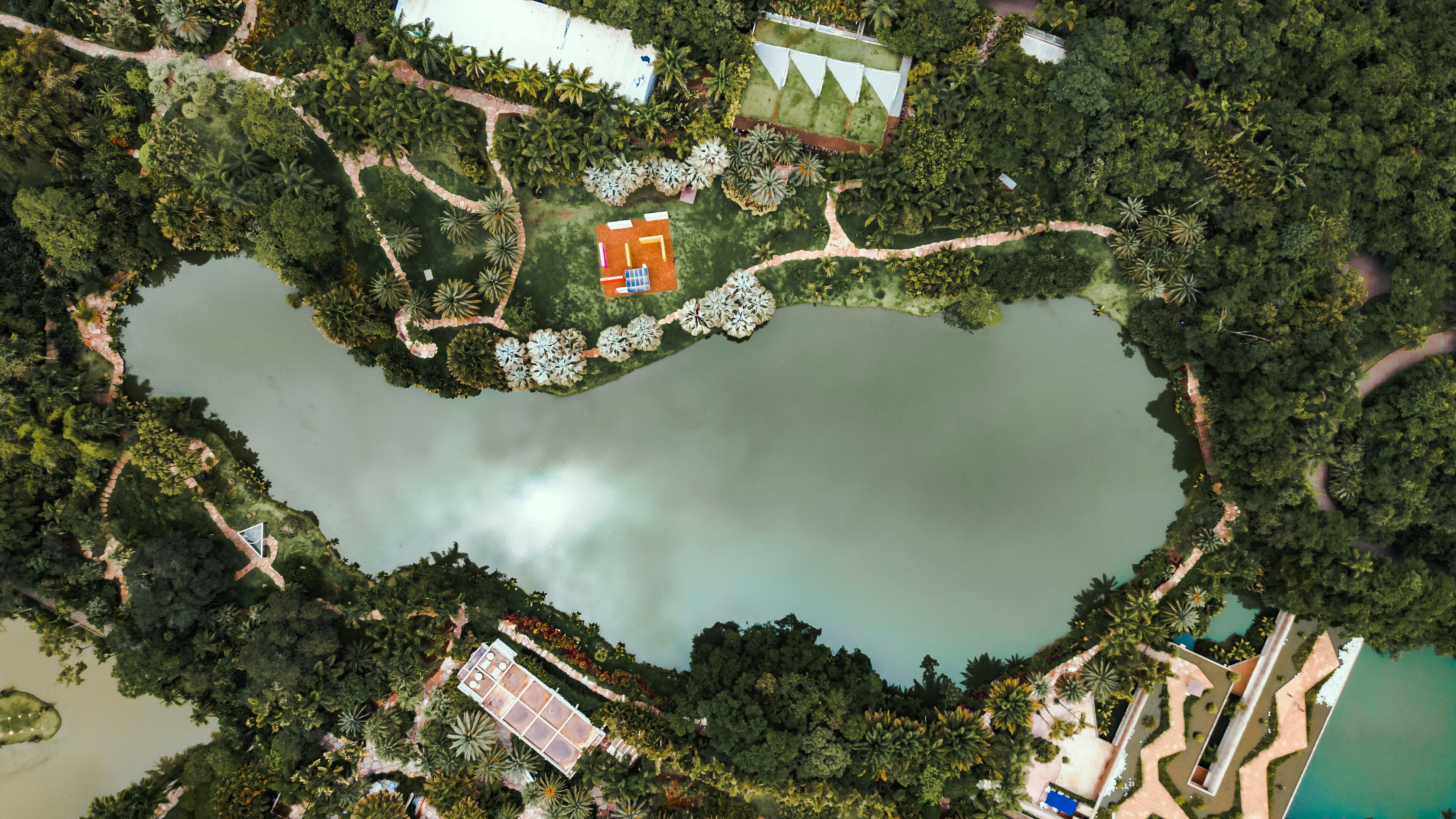 Instituto Inhotim Arte Brasileira Contemporânea Engenharia Paisagismo Jardinagem Sítio Natureza Lago Paisagem Brumadinho Belo Horizonte Minas Gerais Turismo Turístico Viagem Viajar Palmeiras Árvores